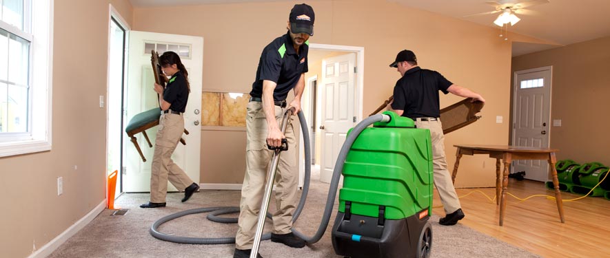 Vicksburg, MS cleaning services